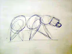 Bear walking sketch