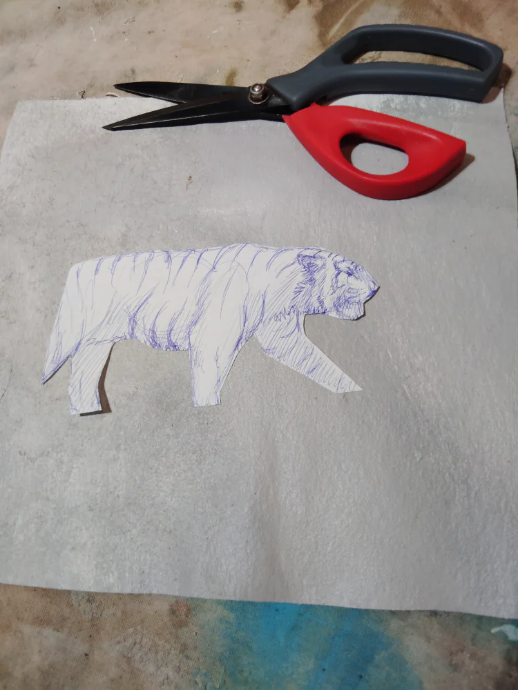 Using scissors to cut the tiger sketch outline